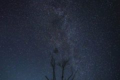 DSC_8443-強化-NR